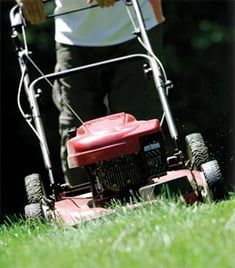 Landscaping business Landscaping business