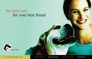 pet care EDDM